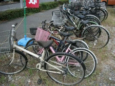 �s�p�ɂȂ������]�Ԗ������