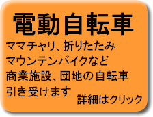 �d�����]�ԁA�d���A�V�X�g���]�ԁA�}�}�`�����A�}�E���e���o�C�N��������������